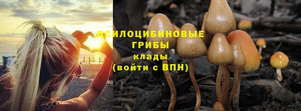 2c-b Горнозаводск