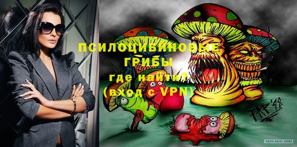 2c-b Горнозаводск