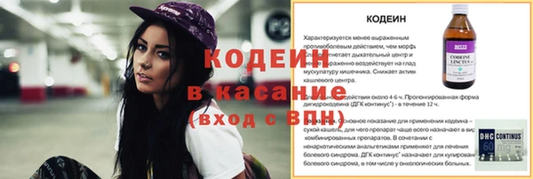 2c-b Горнозаводск