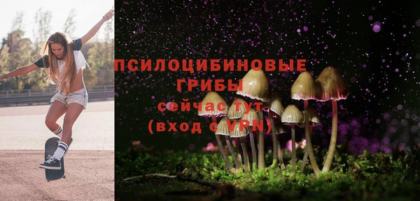 дживик Вязники