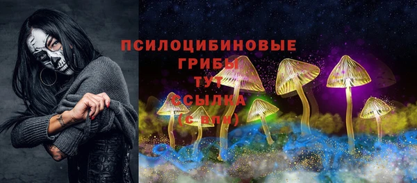 прущая мука Горно-Алтайск