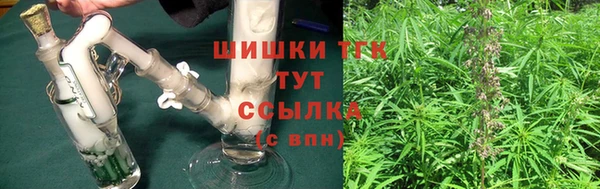 твердый Вяземский