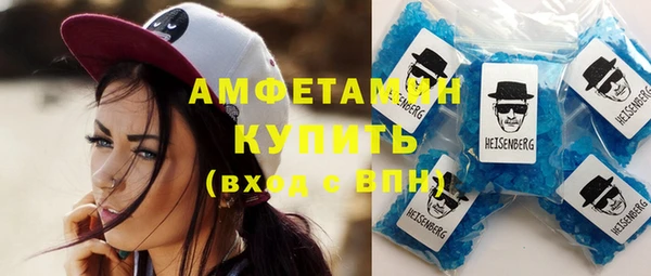 твердый Вяземский