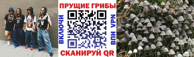 Псилоцибиновые грибы прущие грибы  Купить где  Тогучин 